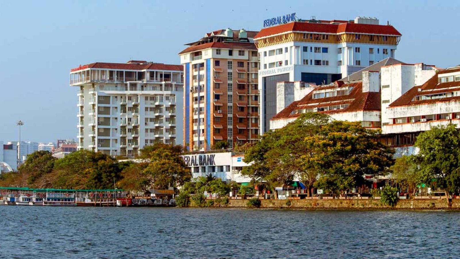 Professional Gym Equipment Services in Ernakulam